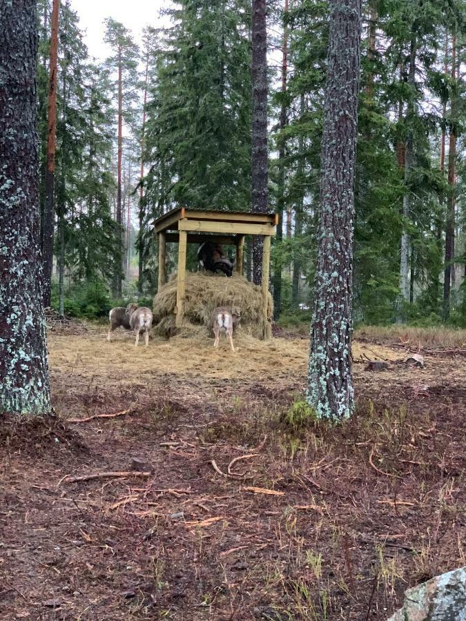 Cozy House In Kosta Center Surrounding With Swedish Nature Dış mekan fotoğraf